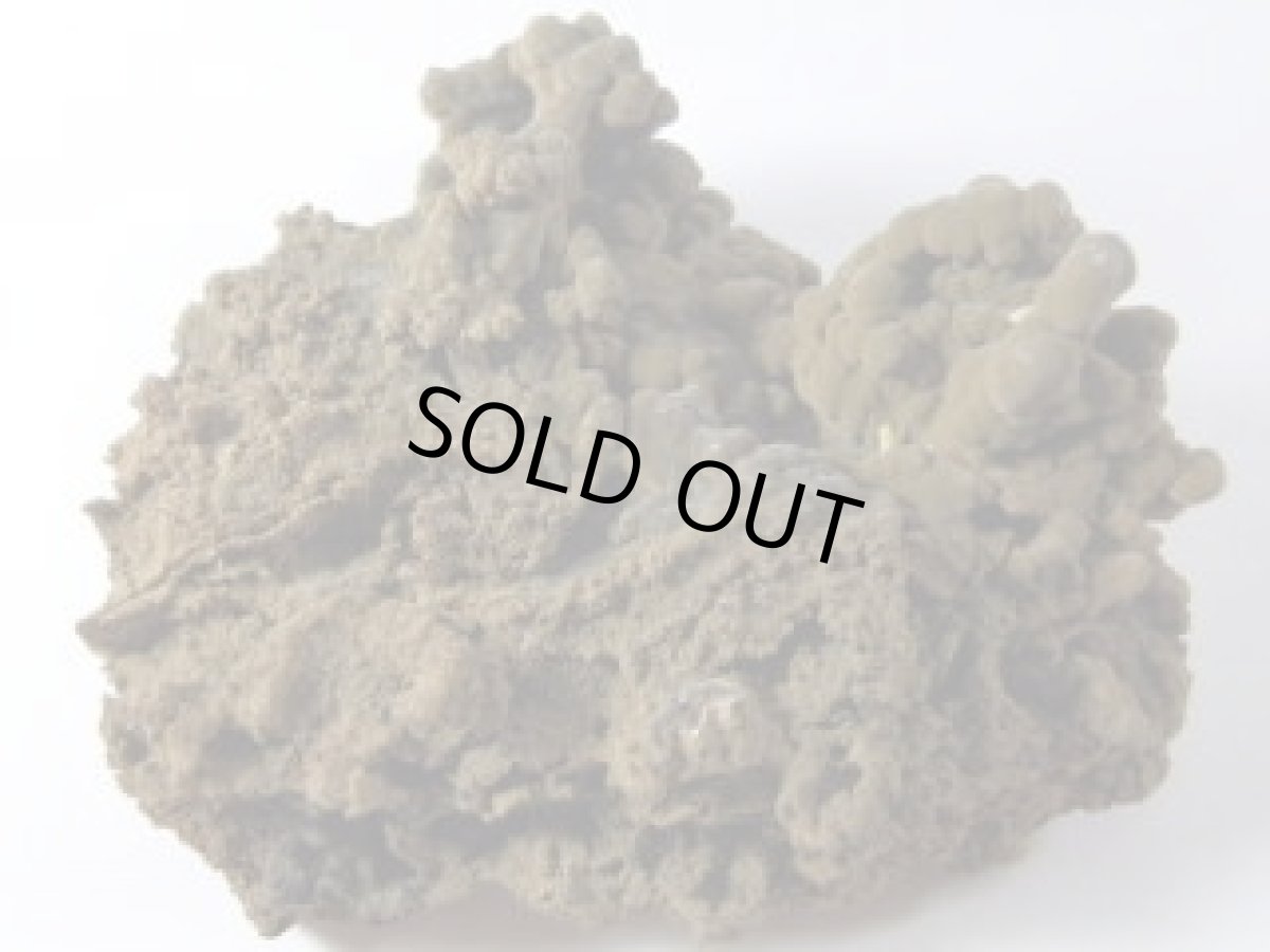 画像1: モットラマイトＤ (1)