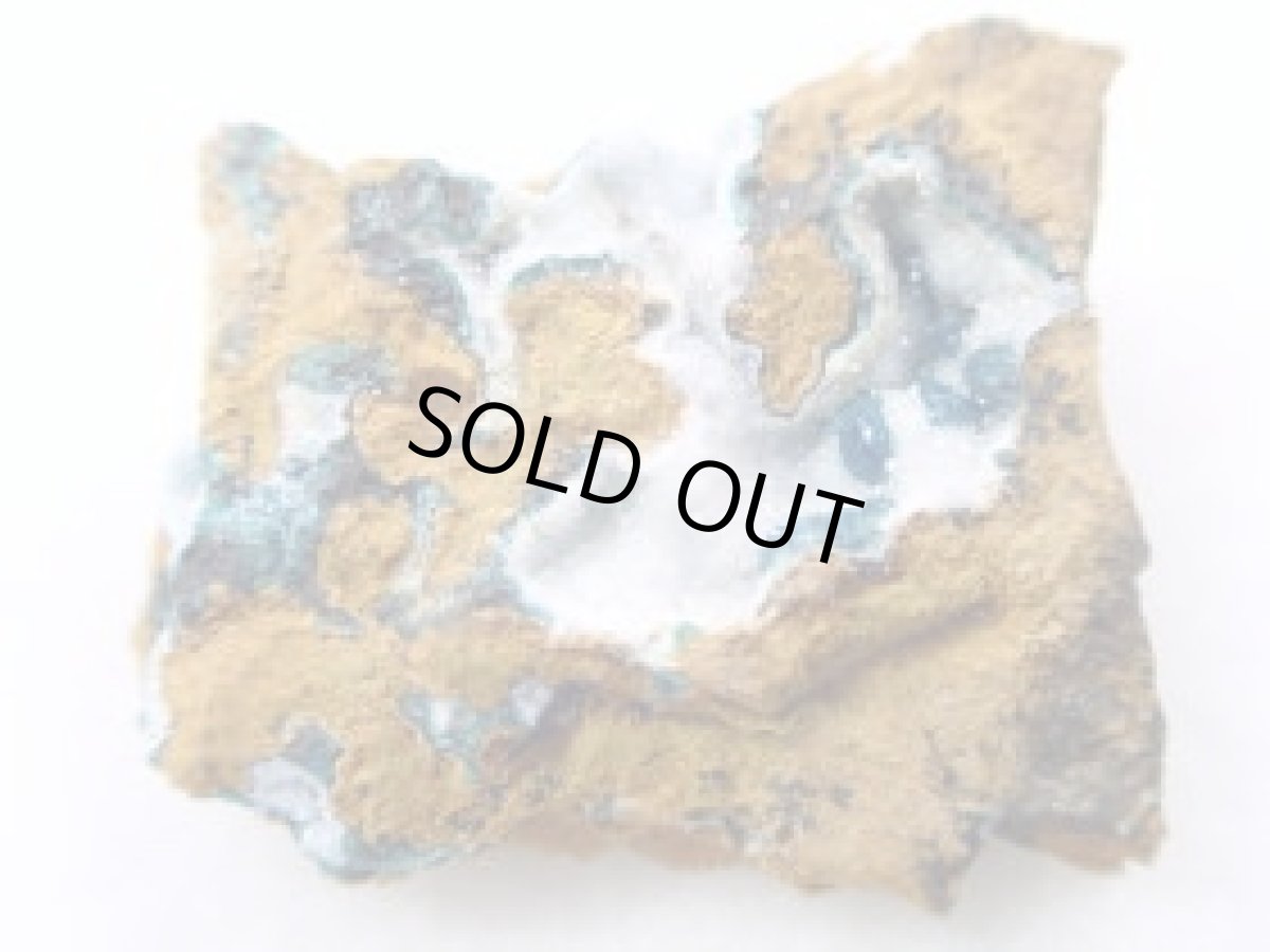 画像2: モンタナ産ローザサイトＡ (2)