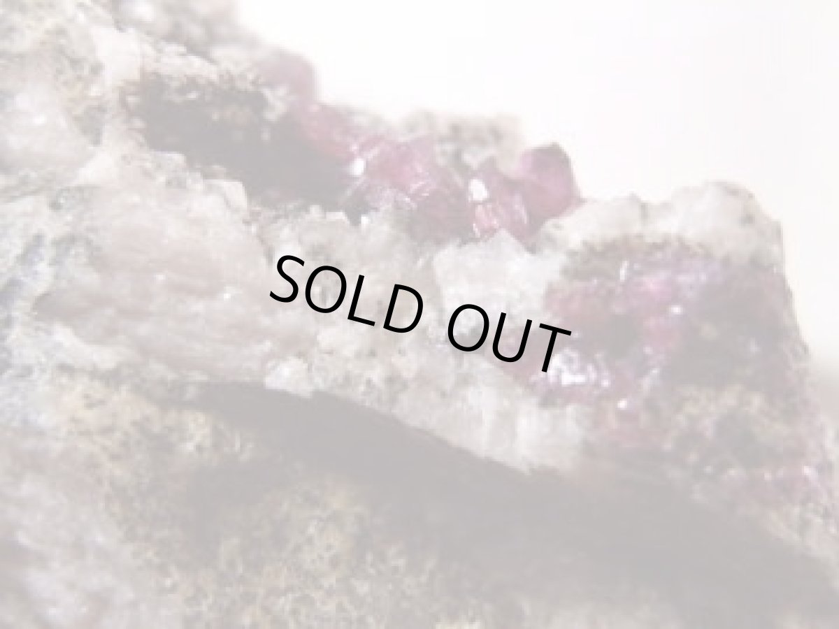 画像3: ローズライトC (3)