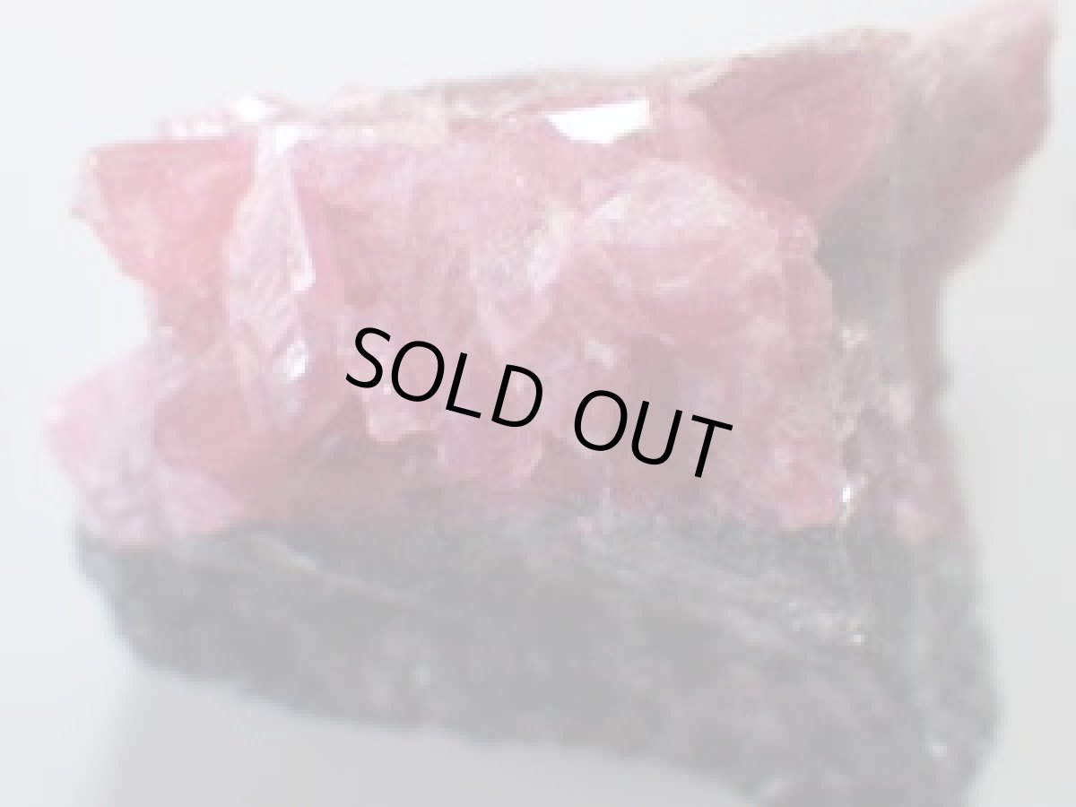 画像3: ブラジル産ロードナイトA (3)