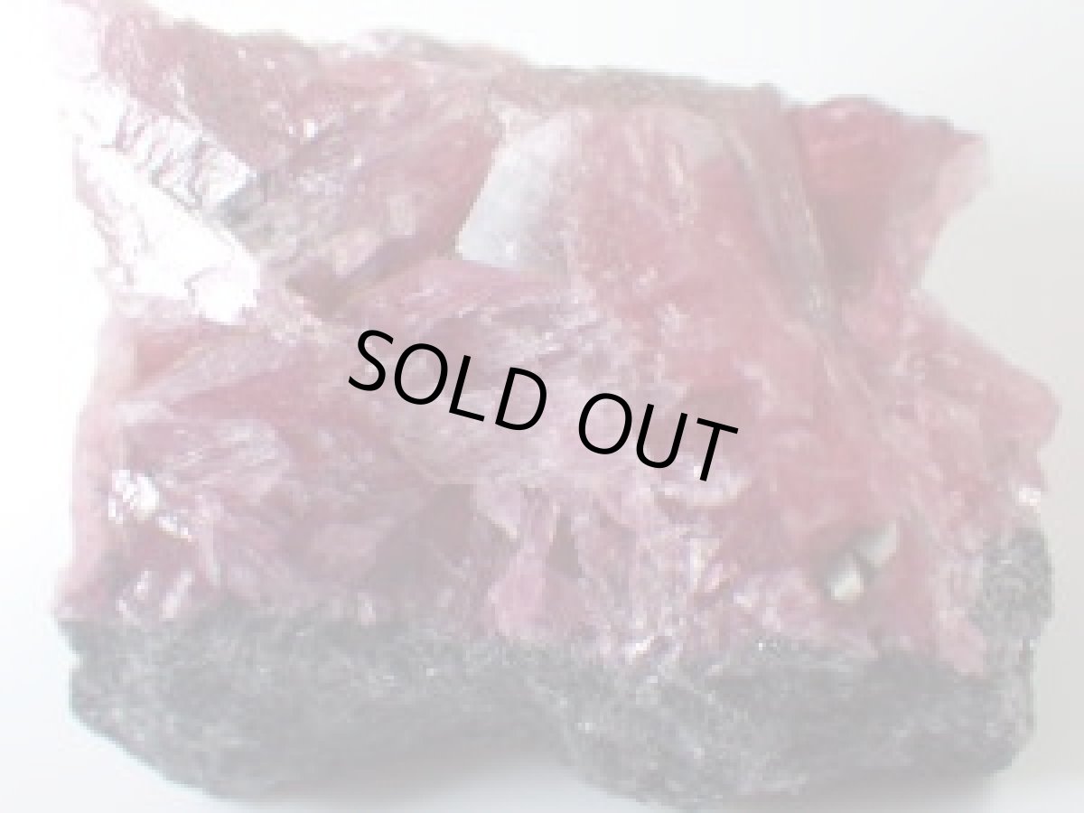 画像2: ブラジル産ロードナイトA (2)