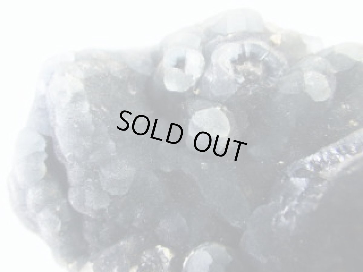 画像3: 中国産プラムボグマイトA (3)