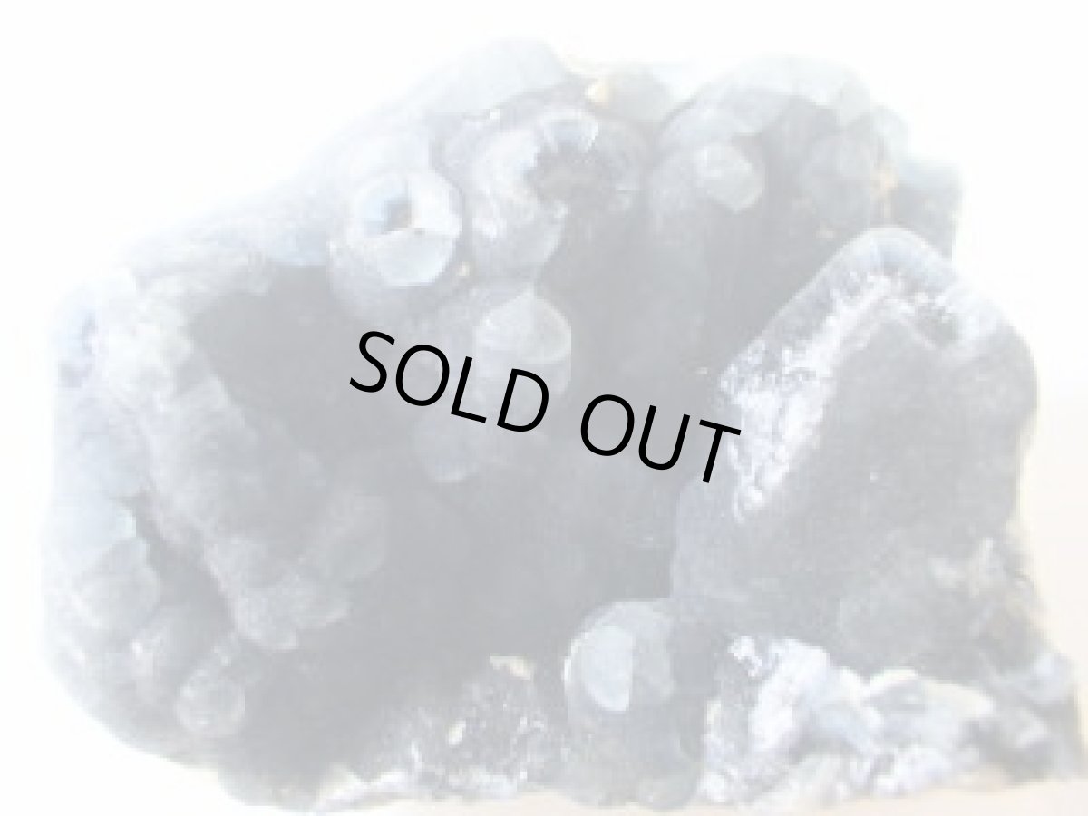 画像4: 中国産プラムボグマイトA (4)