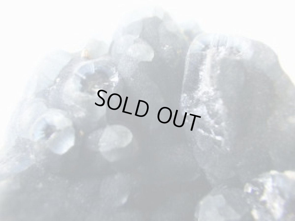 画像2: 中国産プラムボグマイトA (2)