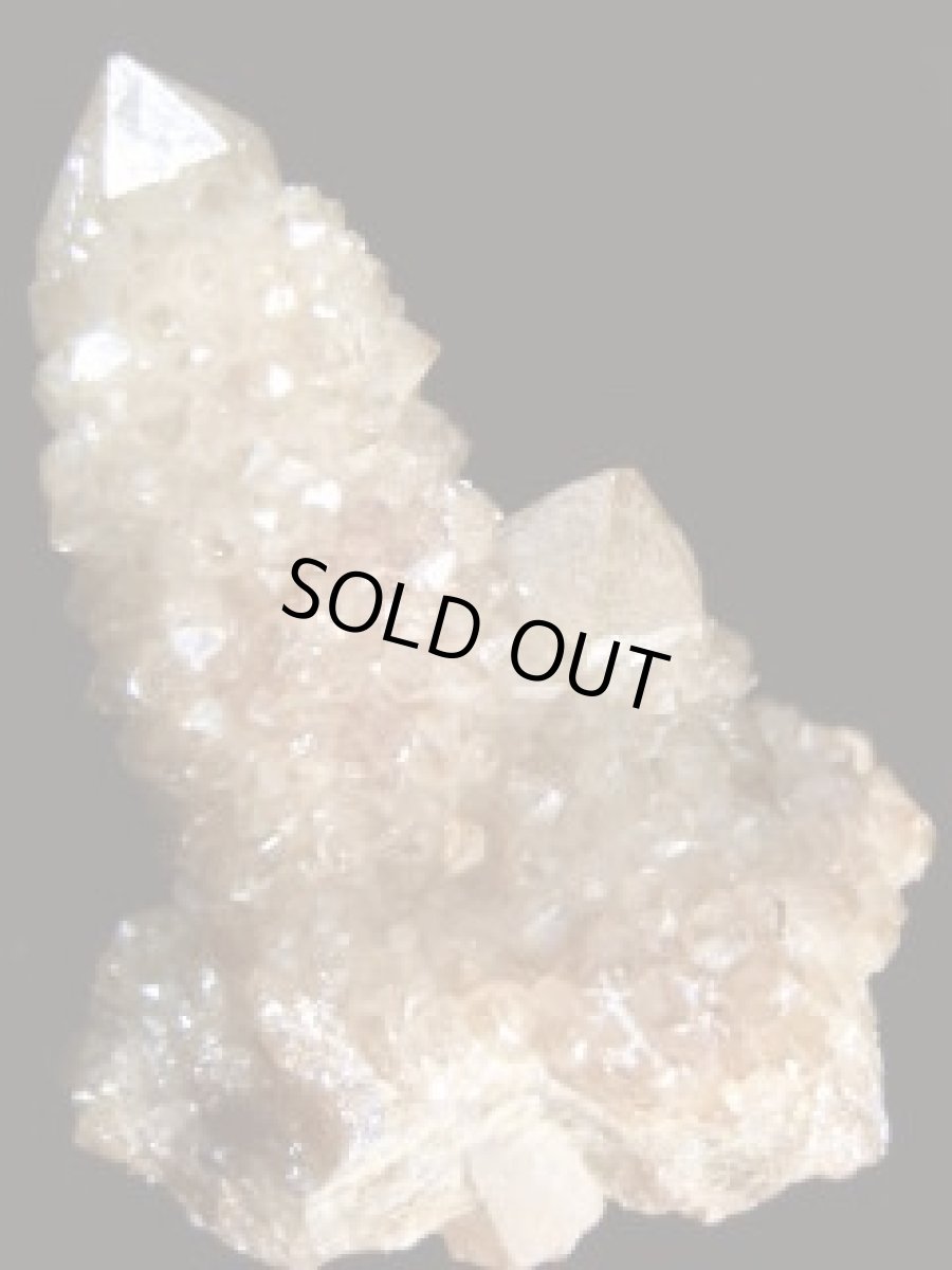 画像3: 南アフリカ産ゴールデンオーラカクタスクォーツＡ (3)