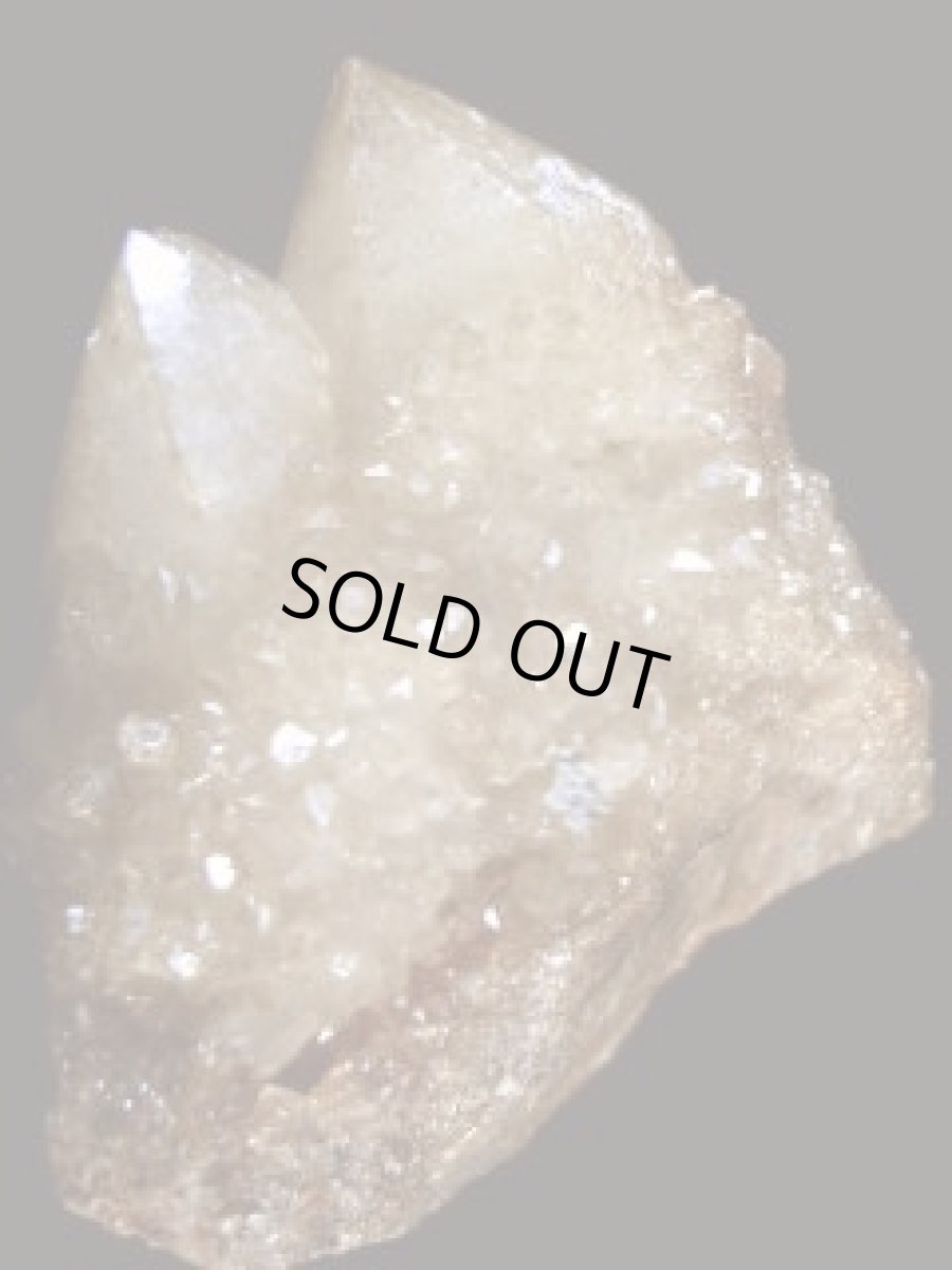 画像3: 南アフリカ産ゴールデンオーラカクタスクォーツB (3)