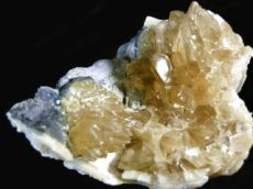 画像1: カリフォルニア産カルサイト化貝化石Ｃ (1)