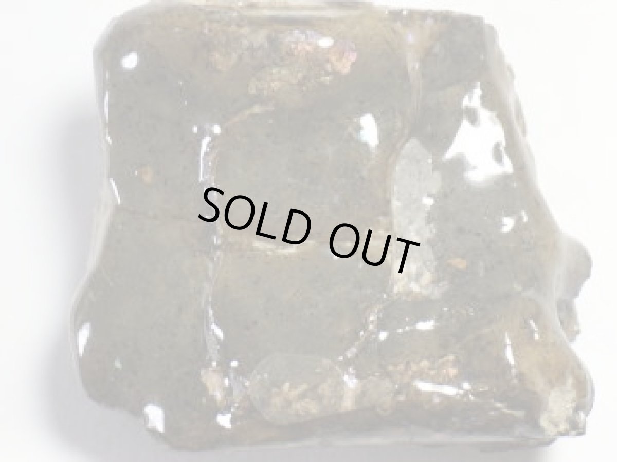 画像6: コロラド産イリデッセンスアンモナイトＢ (6)