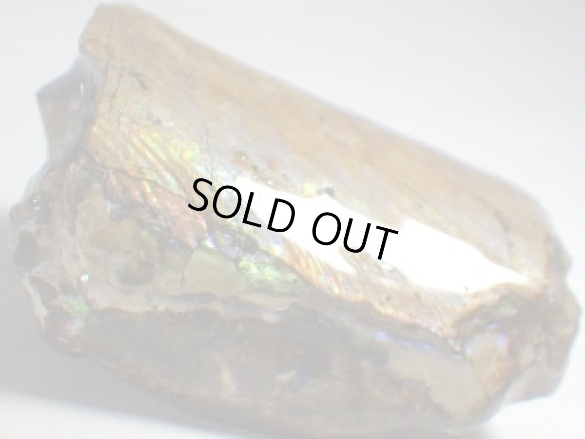 画像4: コロラド産イリデッセンスアンモナイトＢ (4)