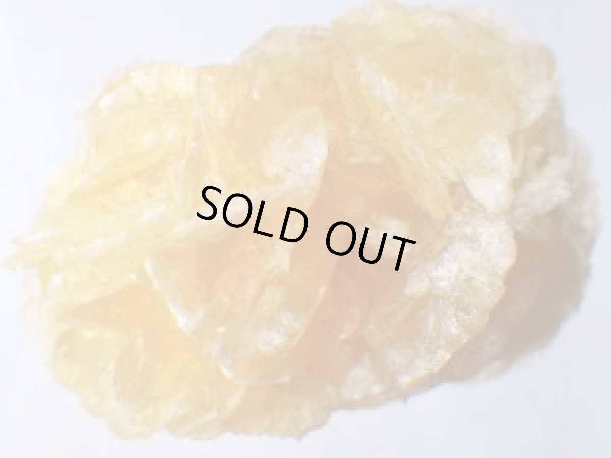 画像3: オレンジジプサムＢ (3)