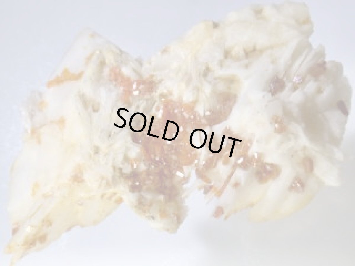 画像3: バナディナイトＦ (3)