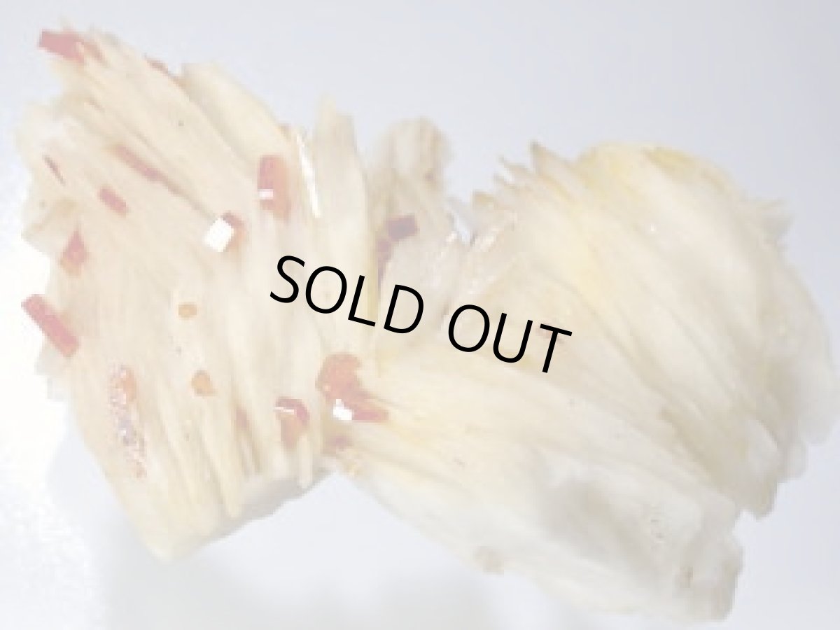 画像1: バナディナイトＦ (1)