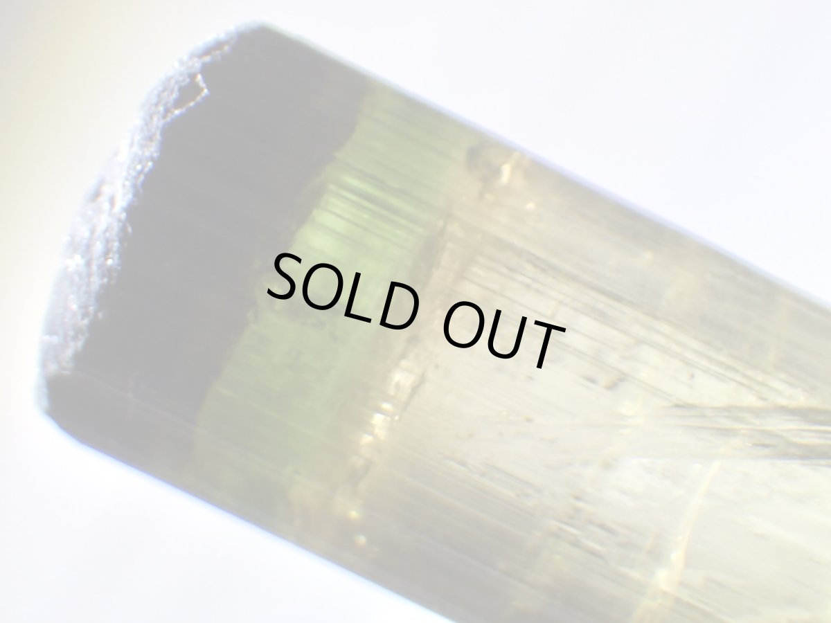 画像5: カリフォルニア産トルマリンH (5)