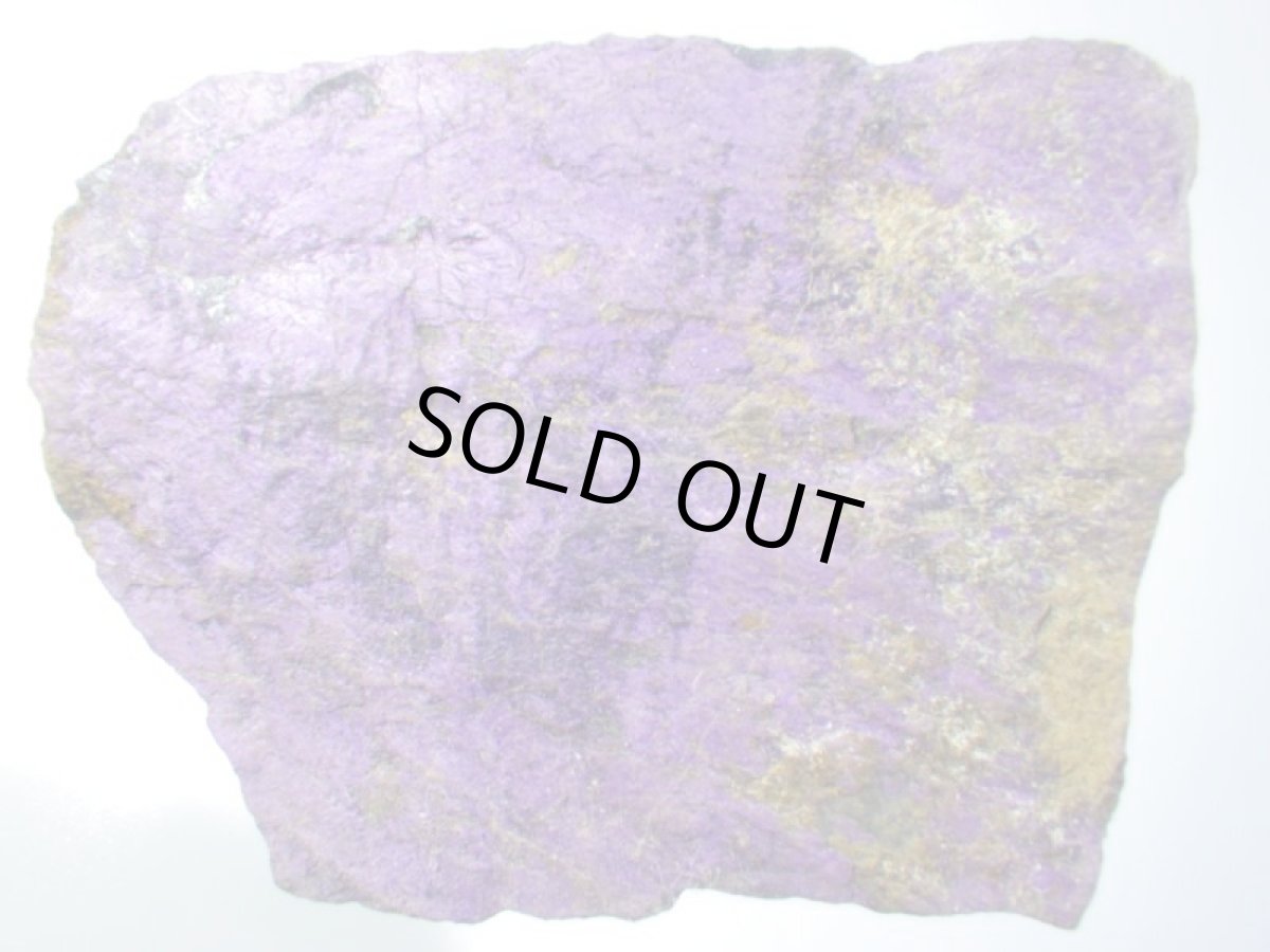 画像2: パープライトＨ (2)