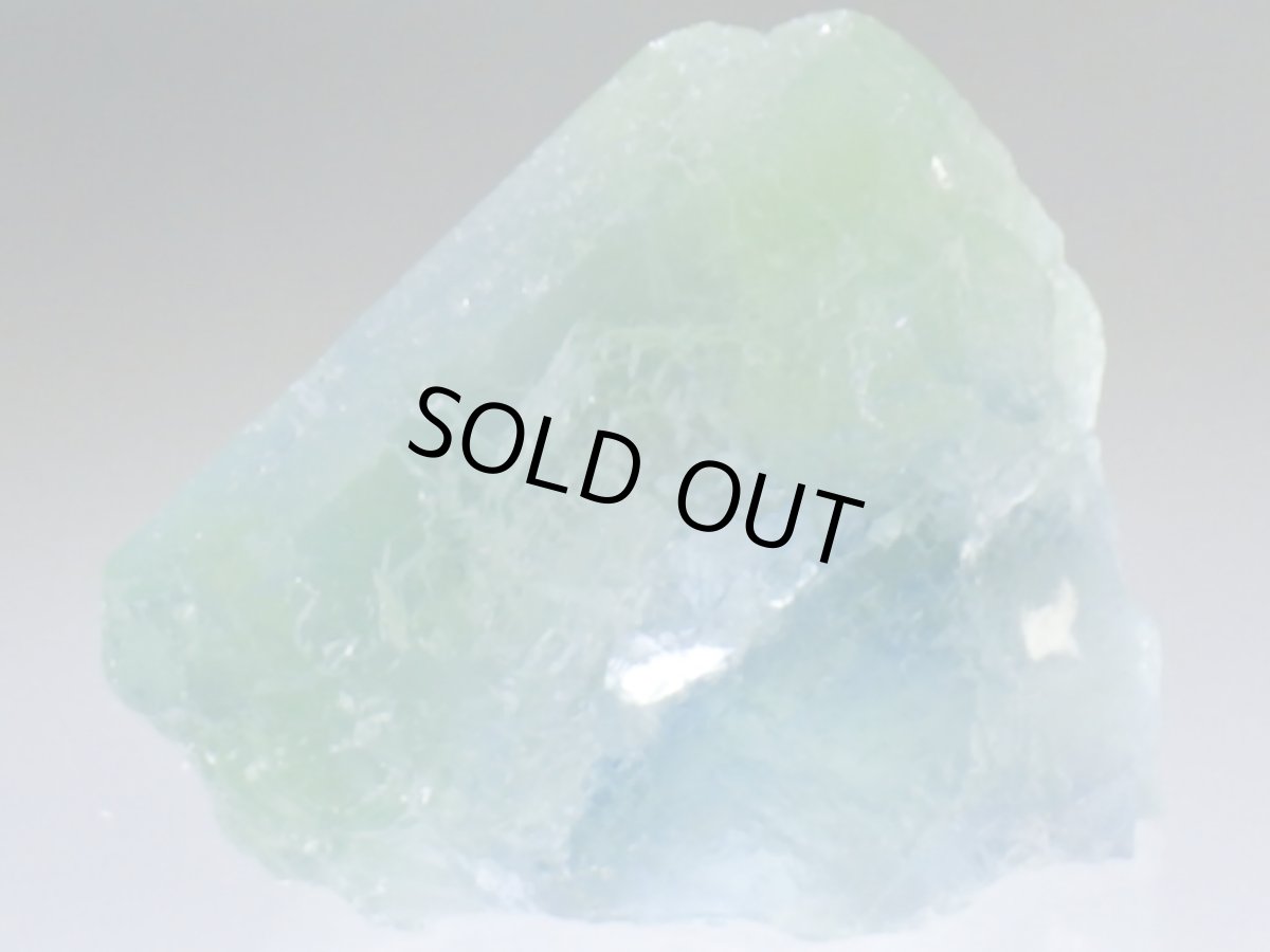 画像3: 湖南省産放射線処理フローライトＡ (3)