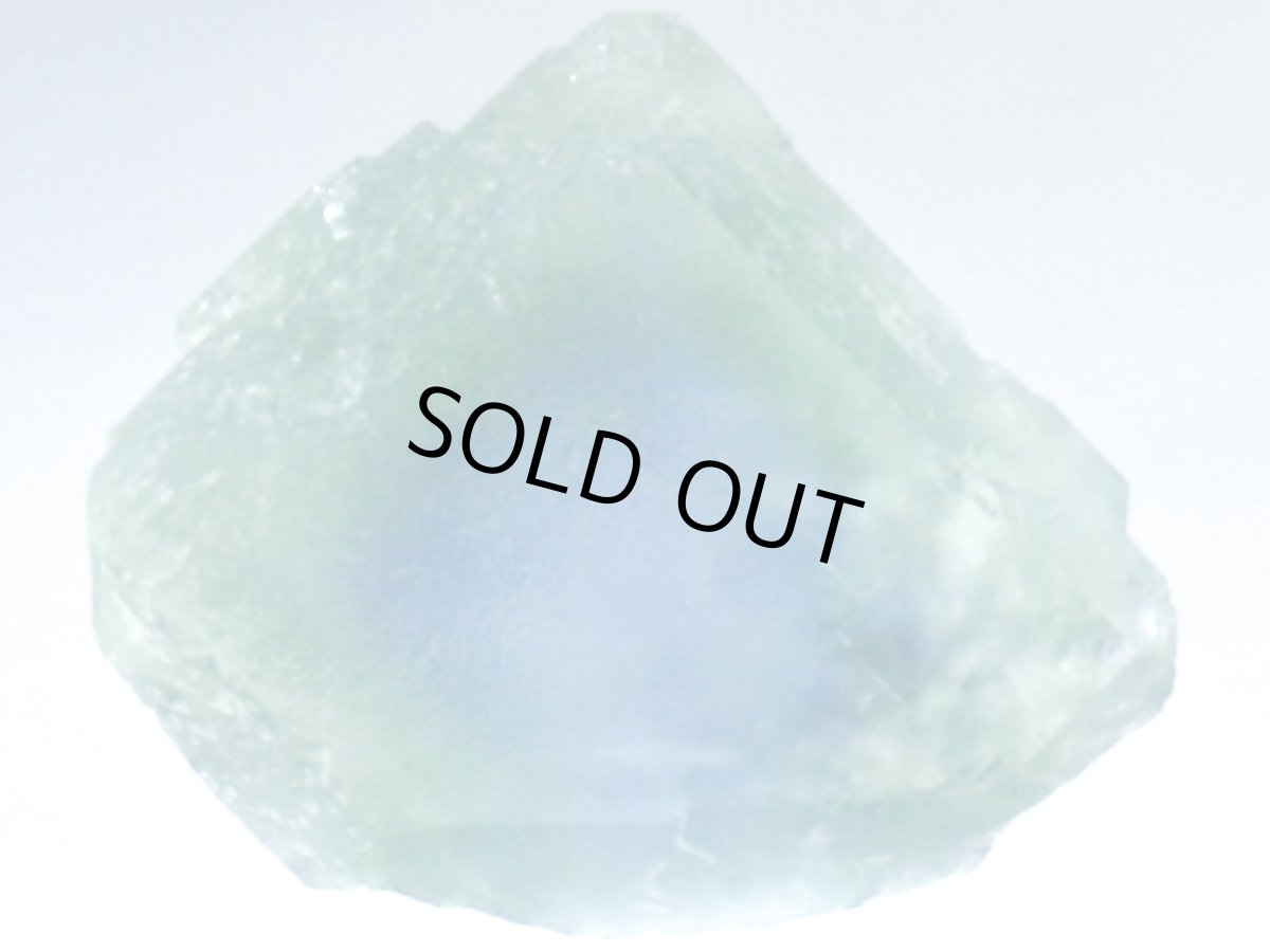 画像2: 湖南省産放射線処理フローライトＡ (2)