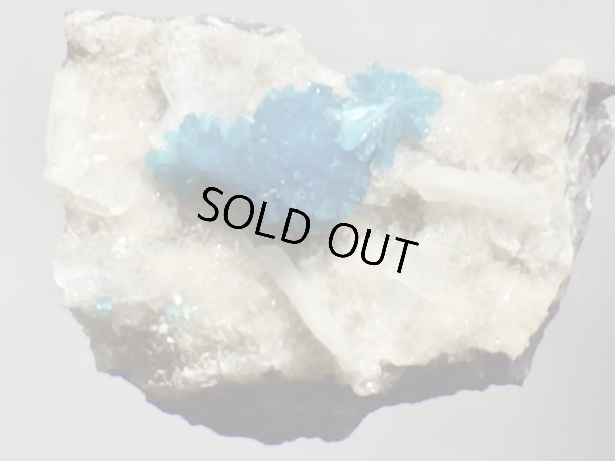 画像1: 母岩付カバンサイトＦ (1)