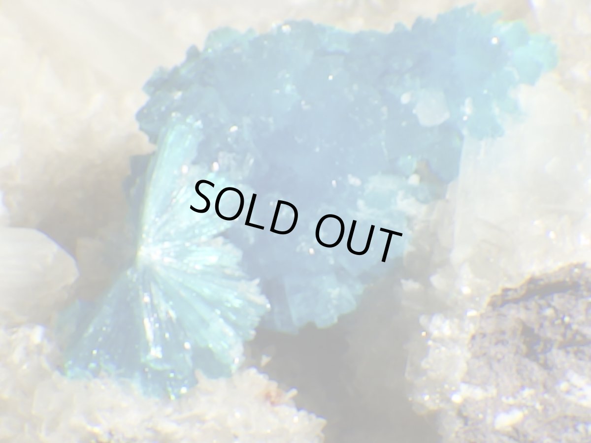 画像2: 母岩付カバンサイトＦ (2)