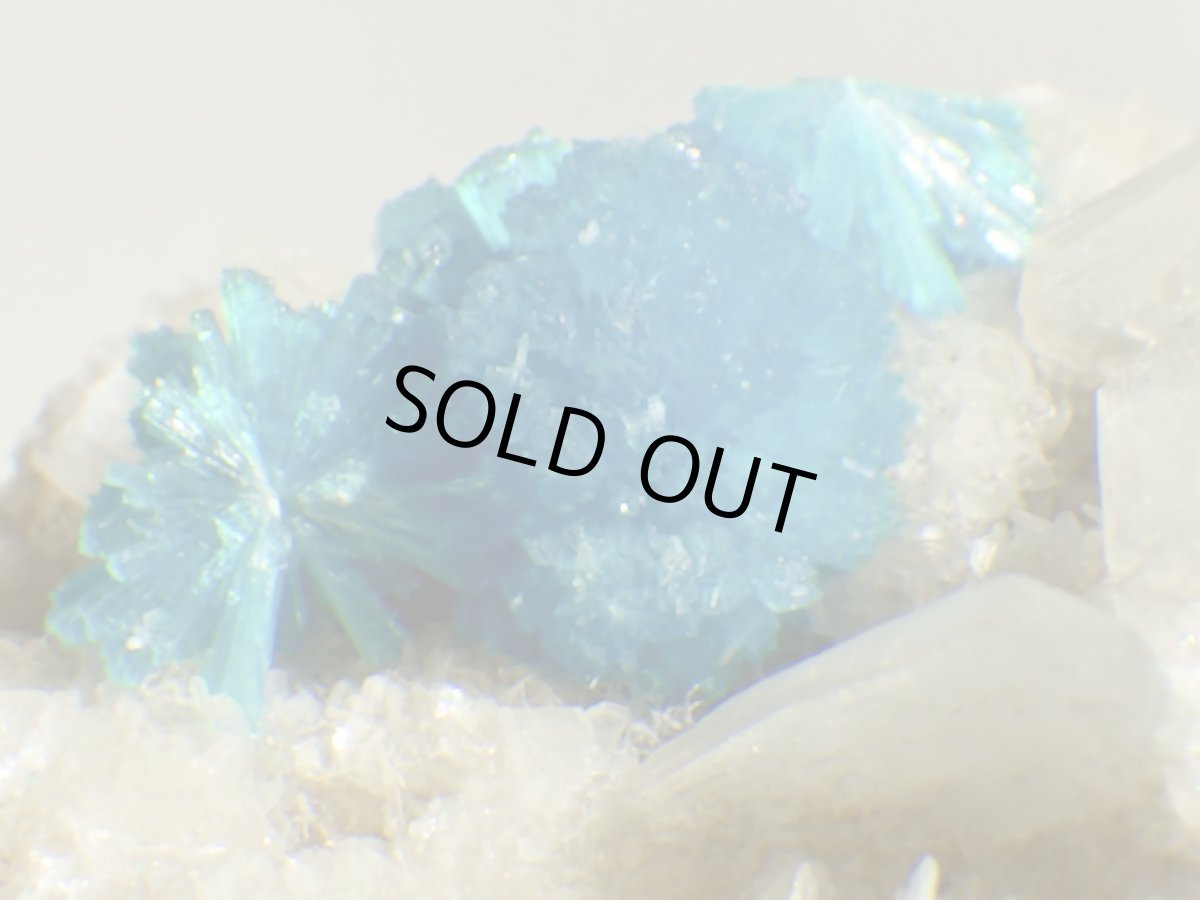 画像4: 母岩付カバンサイトＦ (4)