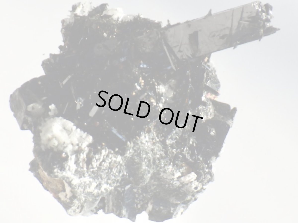 画像4: エジリンＡ (4)