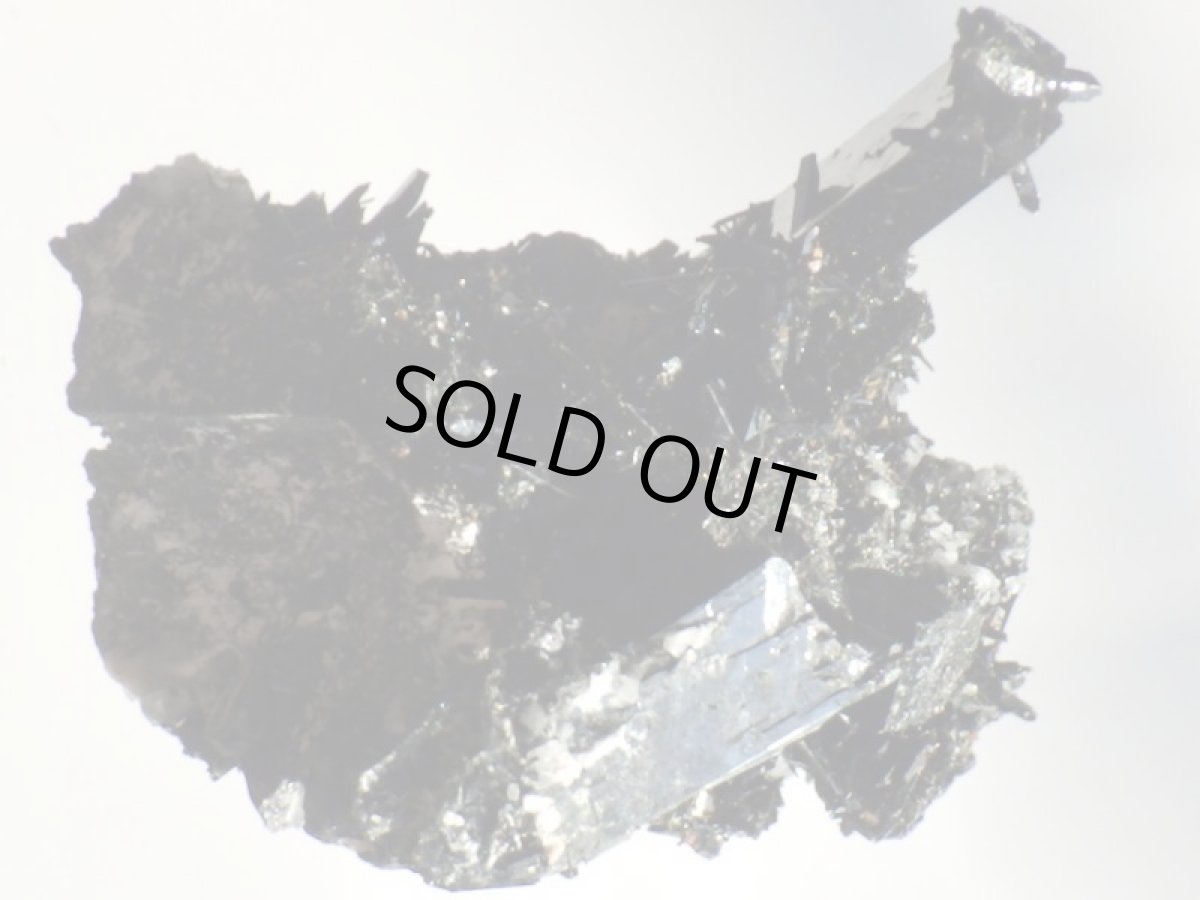 画像8: エジリンＡ (8)