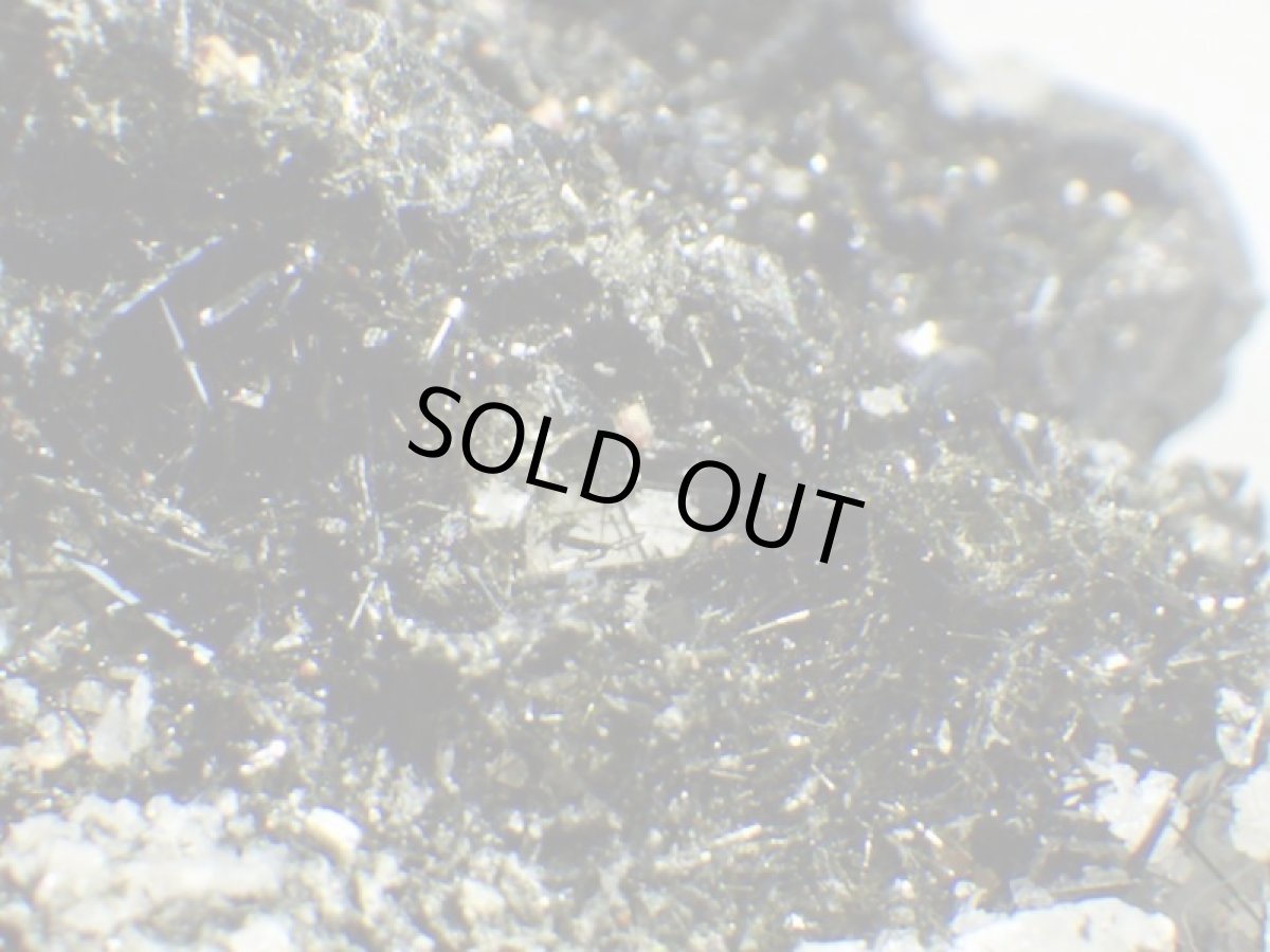 画像7: エジリンＡ (7)