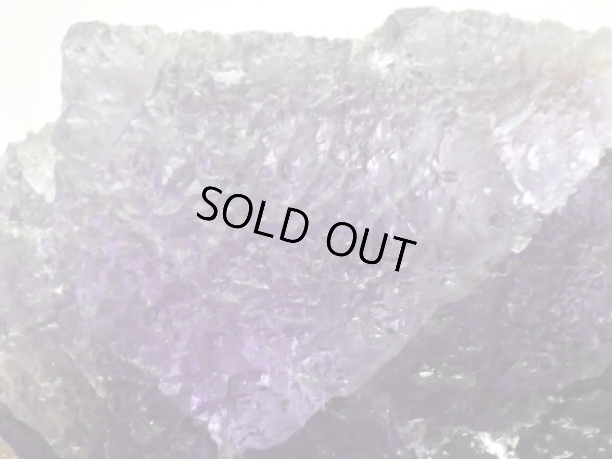 画像7: イリノイフローライト大 (7)