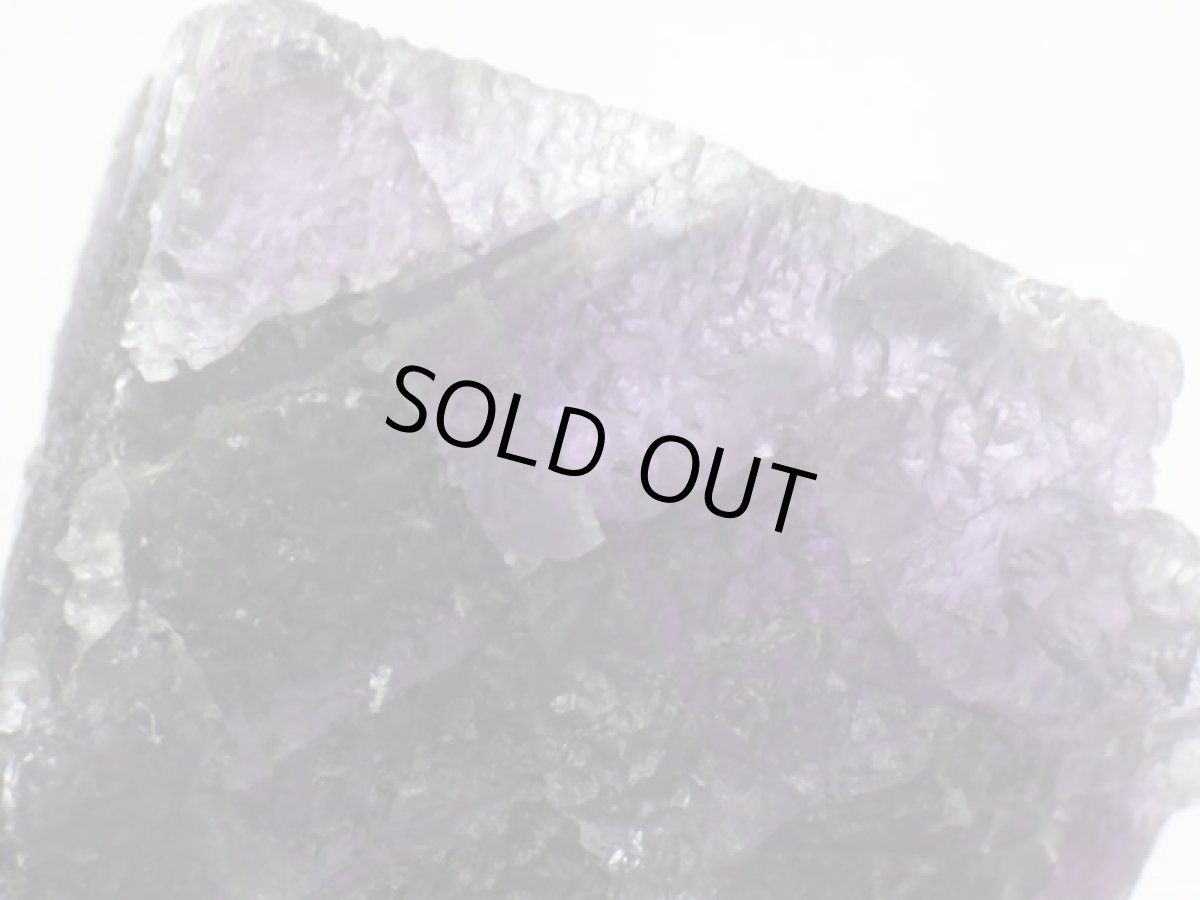 画像9: イリノイフローライト大 (9)