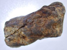 画像2: アリゾナ産Ｌ４コンドライト隕石Ｂ (2)
