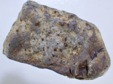 画像1: アリゾナ産Ｌ４コンドライト隕石Ｂ (1)