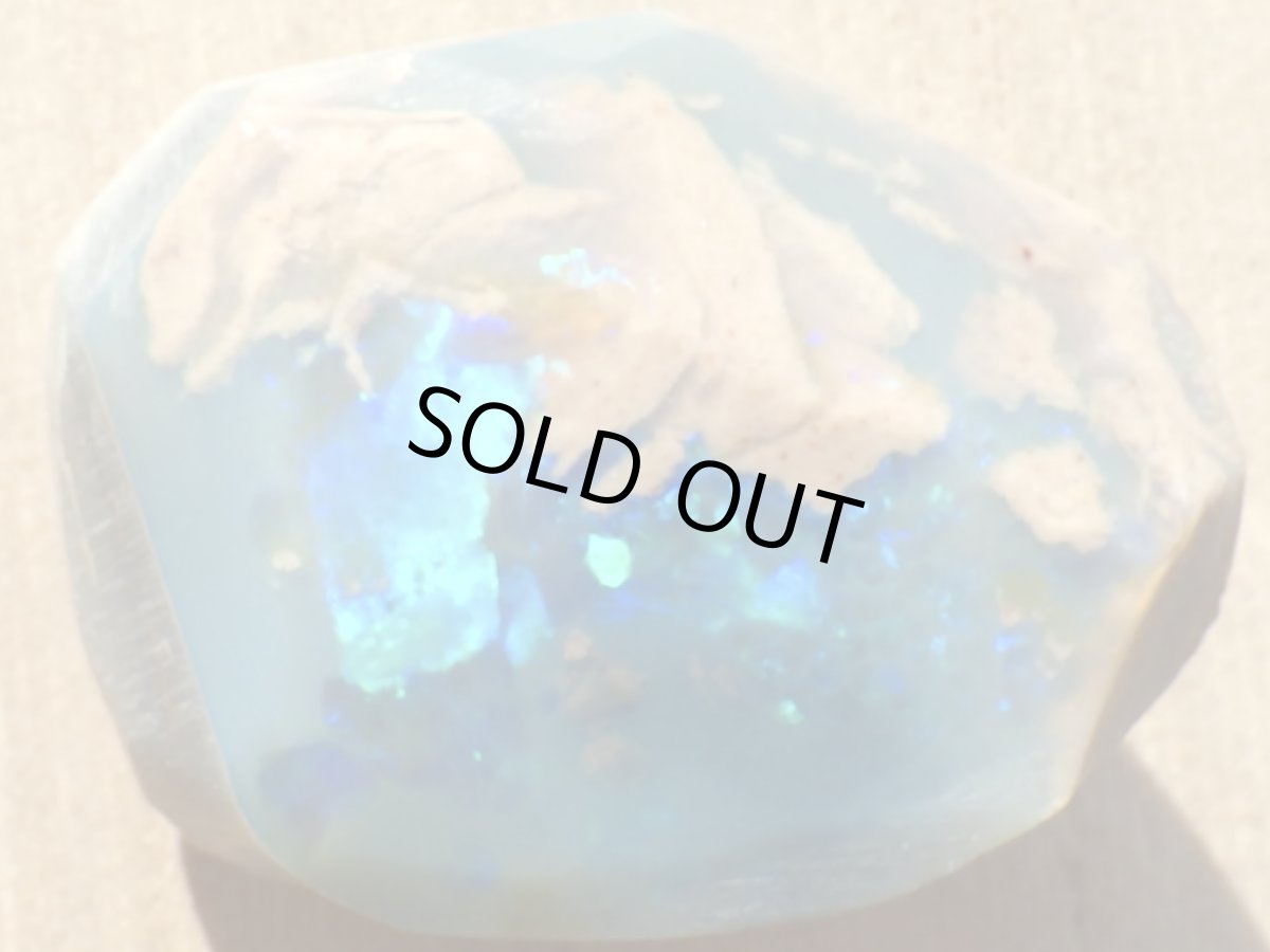 画像6: ノビーオパールラフＥ (6)