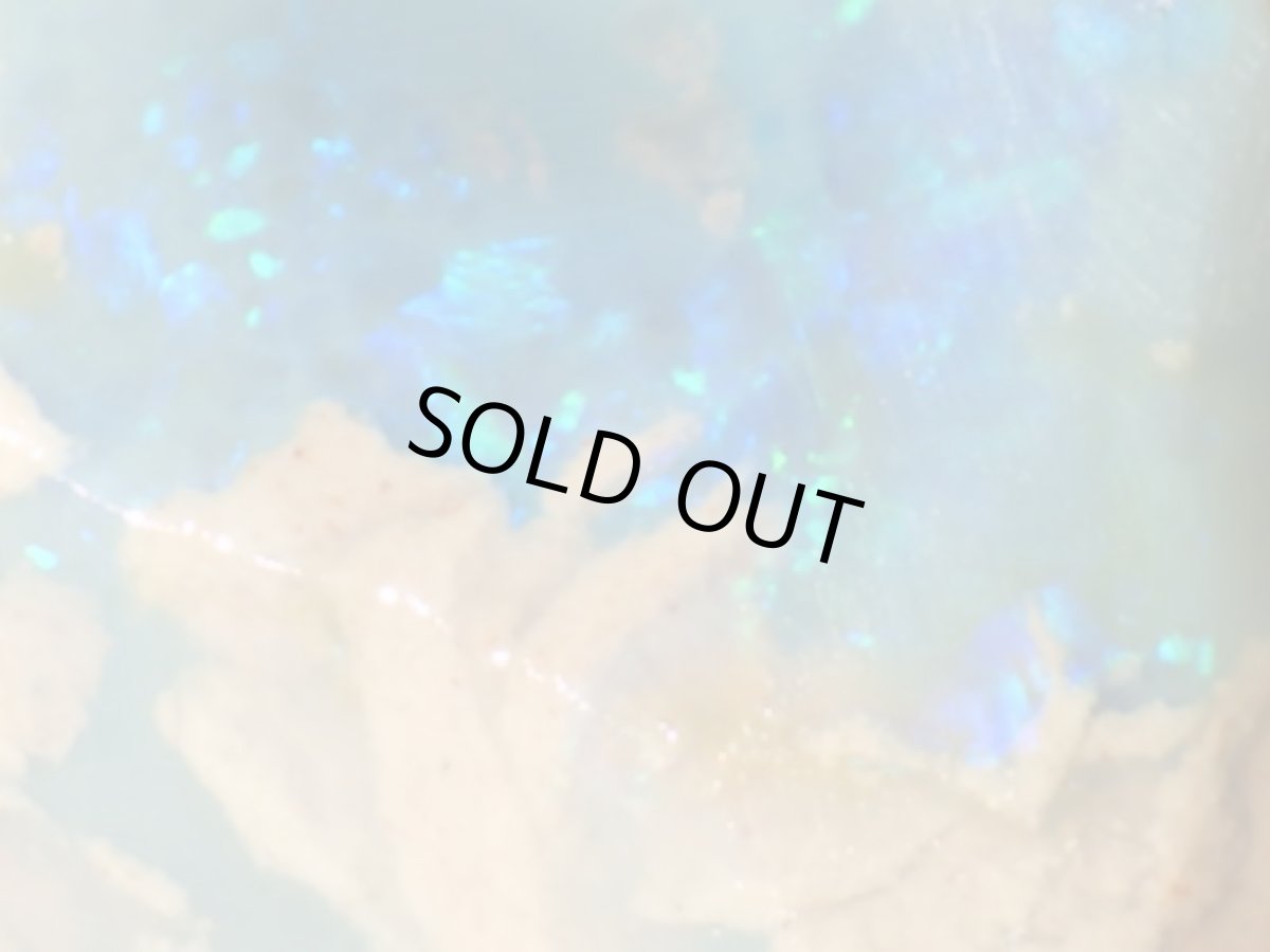 画像5: ノビーオパールラフＥ (5)