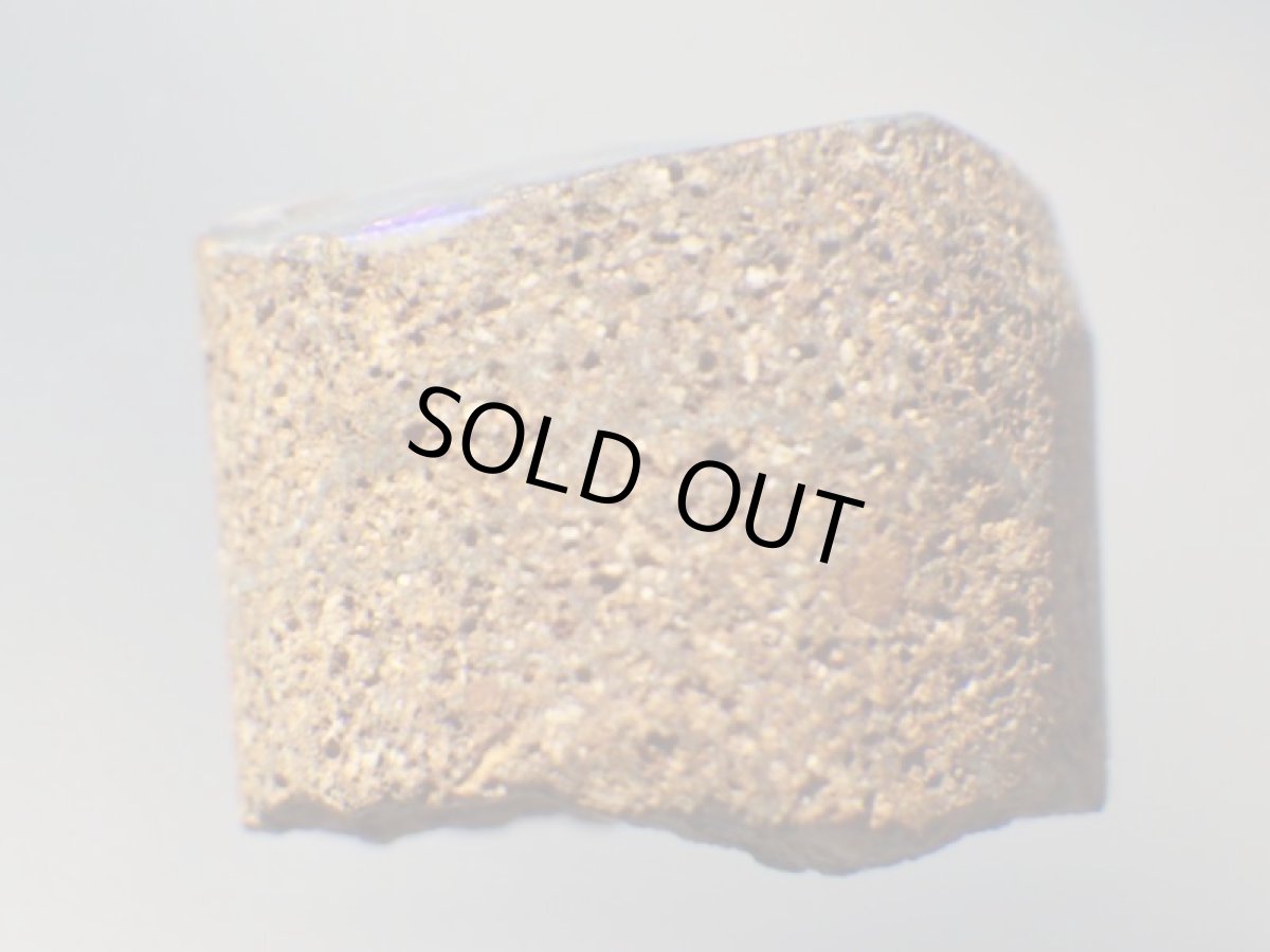 画像4: オパール化シャクトリムシ化石Ｅ (4)