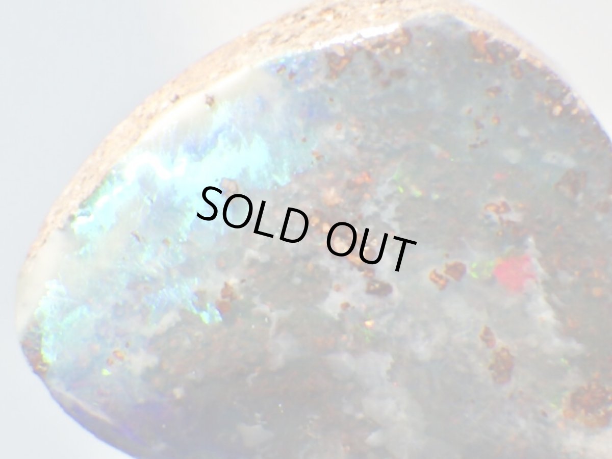 画像2: オパール化シャクトリムシ化石Ｅ (2)