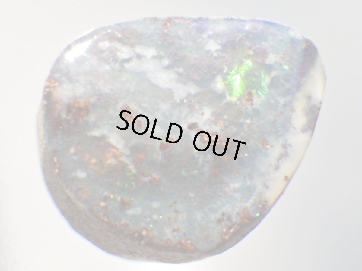 画像3: オパール化シャクトリムシ化石Ｅ (3)