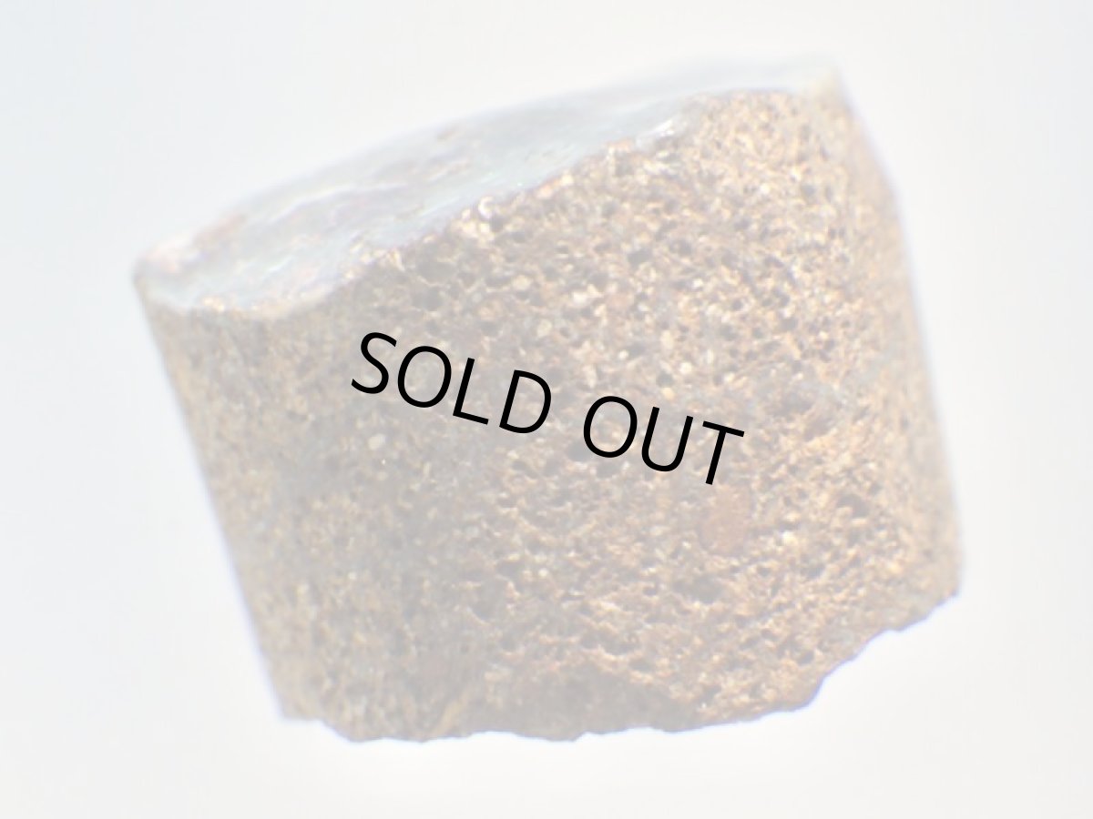 画像5: オパール化シャクトリムシ化石Ｅ (5)