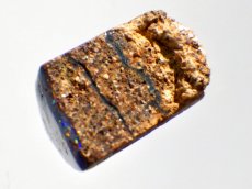 画像2: オパール化シャクトリムシ化石Ｂ (2)