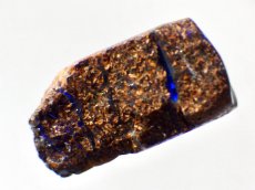 画像2: オパール化シャクトリムシ化石Ｃ (2)