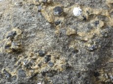 画像5: 岩手県産母岩付きサファイアコランダム (5)
