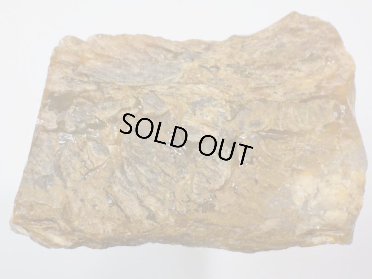 画像2: ライトニングリッジ産オパール化骨化石大 (2)