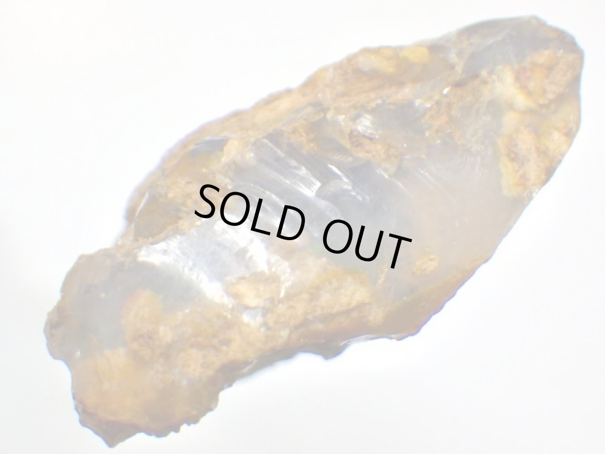 画像5: ライトニングリッジ産オパール化骨化石大 (5)