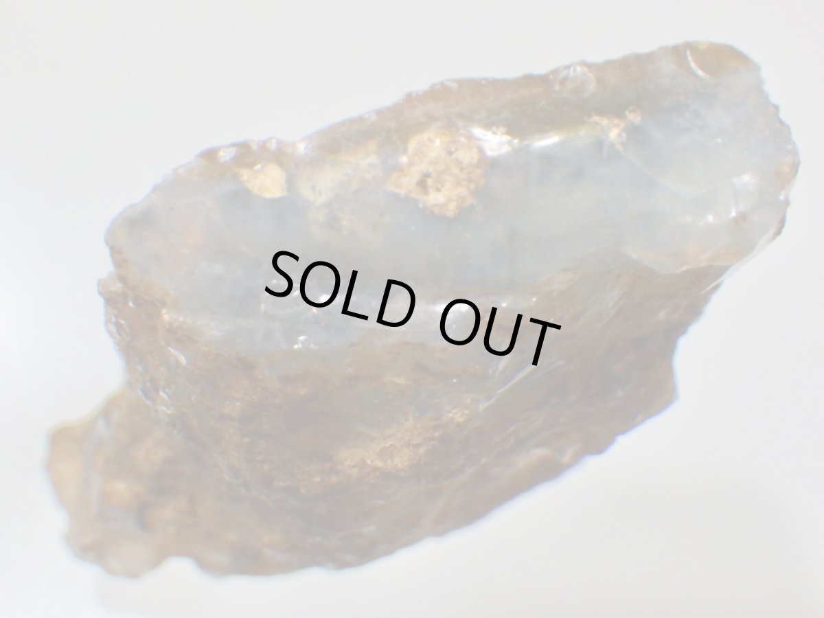 画像7: ライトニングリッジ産オパール化骨化石大 (7)