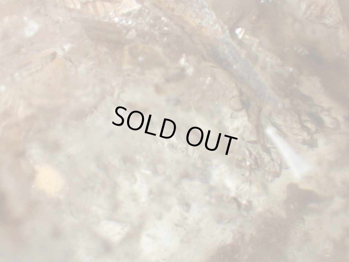 画像11: ブラジル産水入りスモーキーアメジストカテドラル磨き (11)