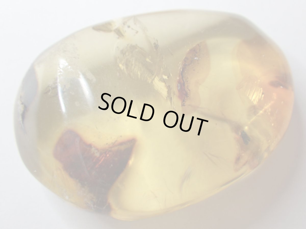 画像3: メキシコ産ブルーアンバーＡ (3)