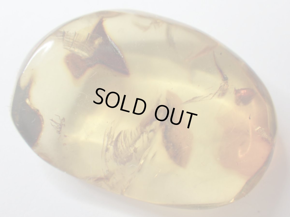 画像2: メキシコ産ブルーアンバーＡ (2)