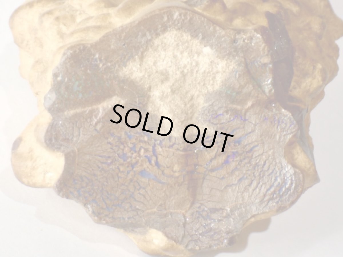 画像2: オパール化ストロマトライト大Ａ (2)