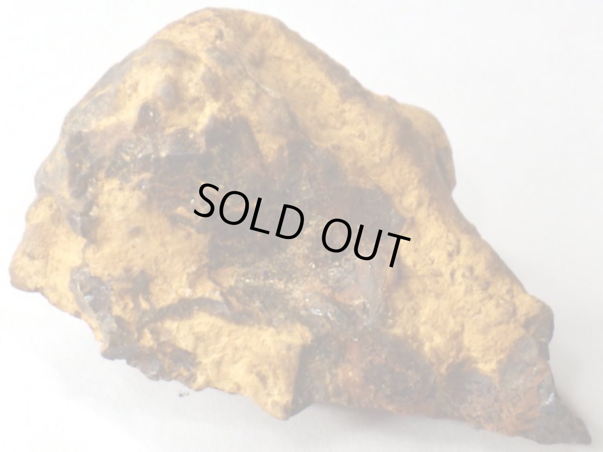 画像5: オパール化ストロマトライトＤ (5)