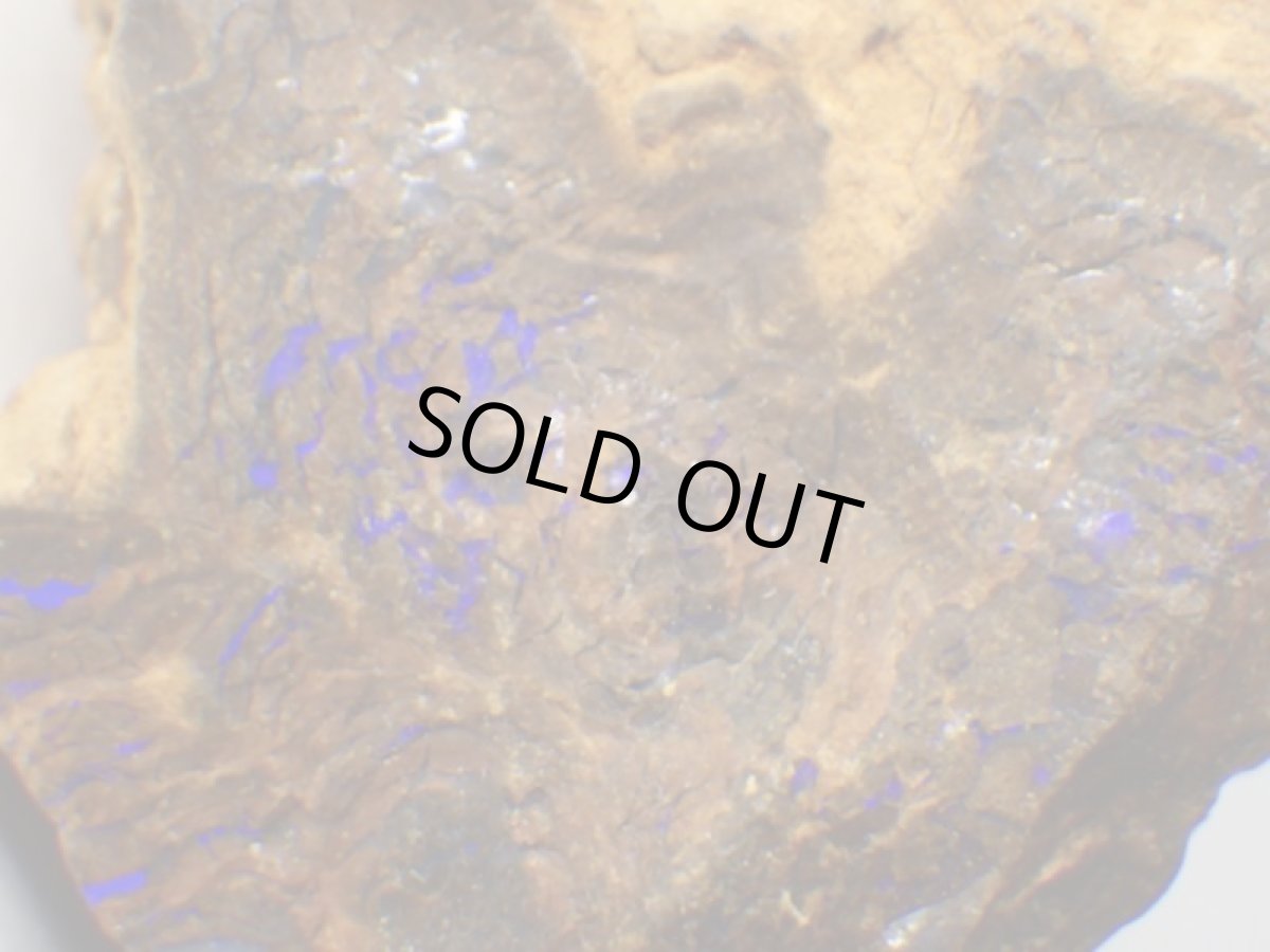 画像4: オパール化ストロマトライトＤ (4)