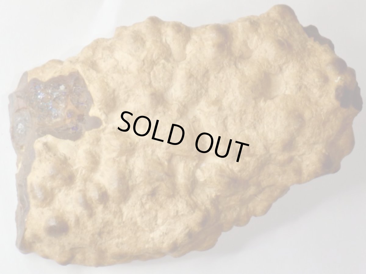 画像4: オパール化ストロマトライト大Ａ (4)