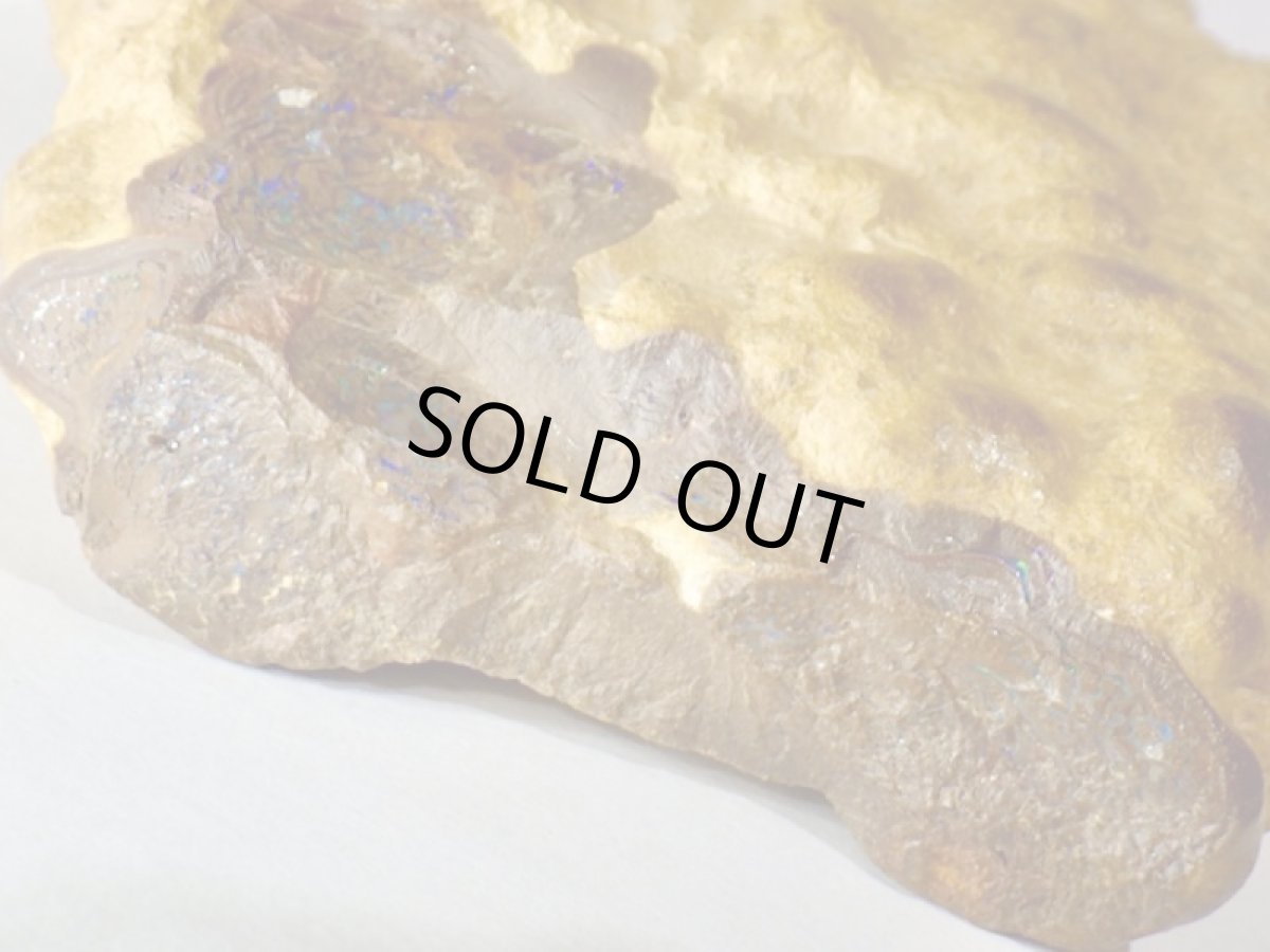 画像5: オパール化ストロマトライト大Ａ (5)